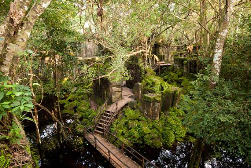 Jungle Overtken Temple and Exploring the Mythical Mountain Temple With 91 $ per person only