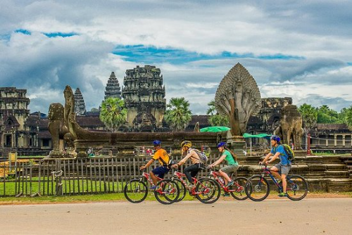 The Trunks of Tree Twist Among The Pillar and Local LIfe Style With 113 $ Per person only