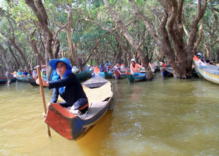 Tour the flooded forest