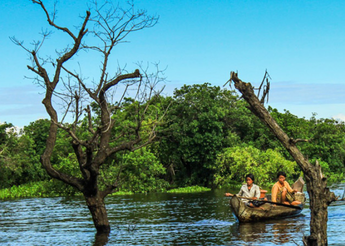 Kompong phluk