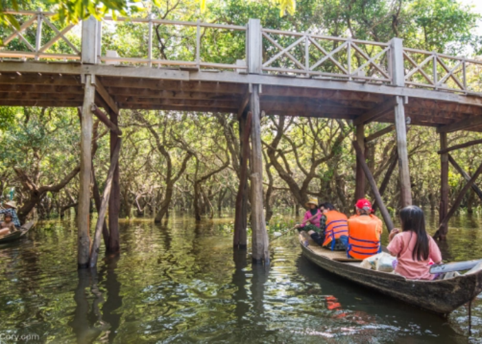 4.  Flooded forest