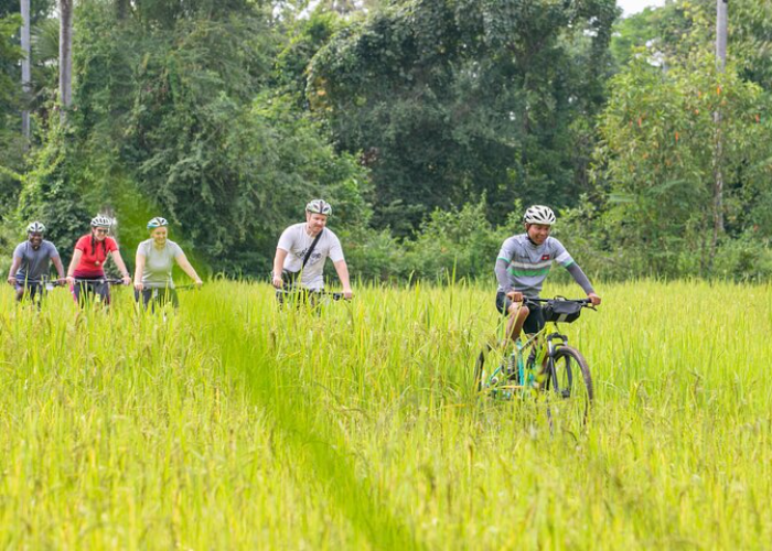 Countryside