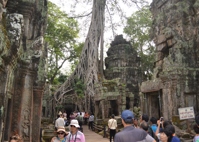 Ta prohm