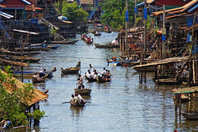 Half Day Kompong Phluk / Flooded Forest  $38 Per person